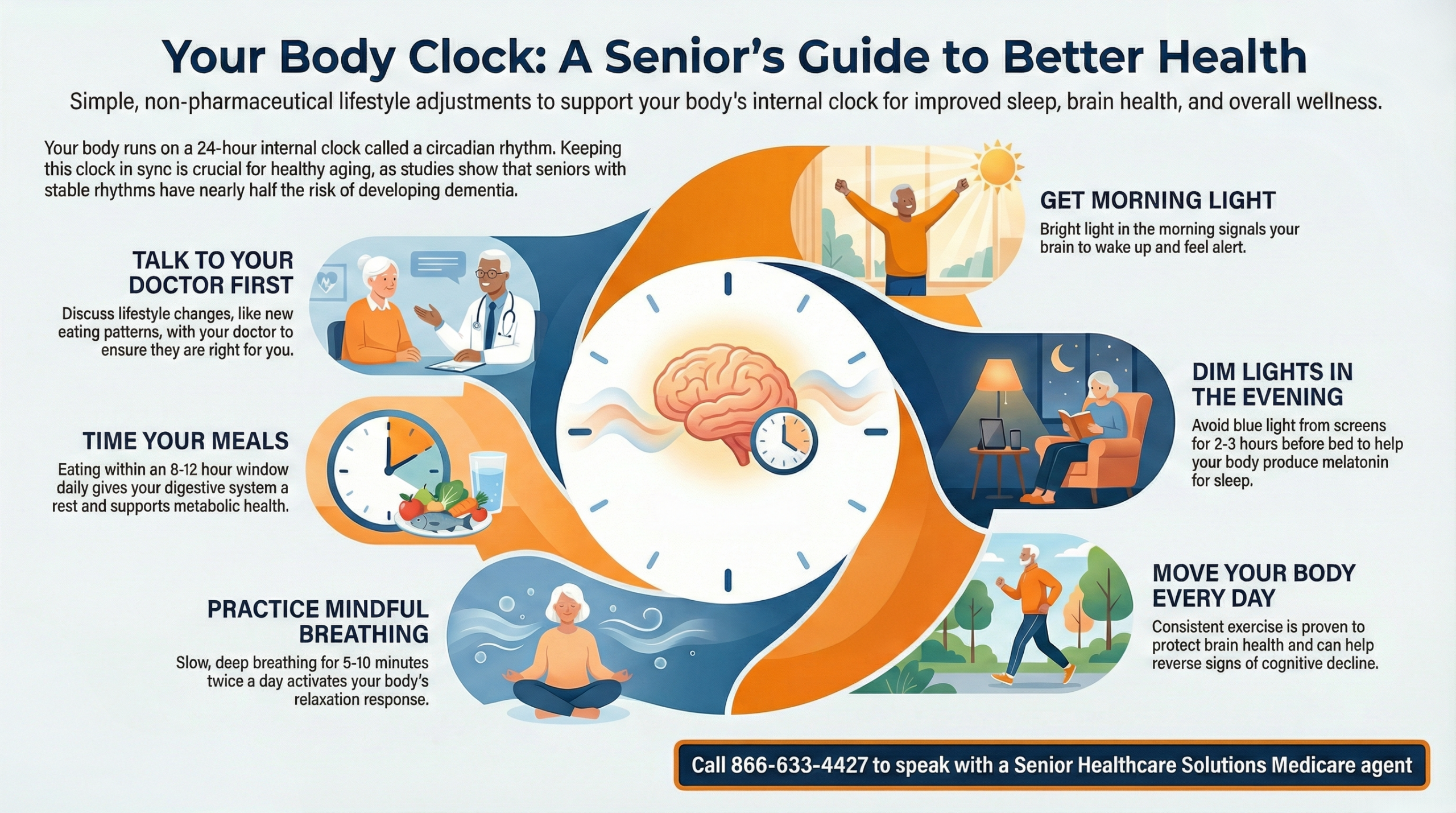 Reverse Your Biological Clock in 12 Minutes a Day: The 2026 Science of Low-Intensity Circadian Walking